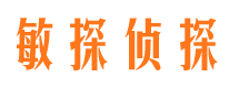 陆河私家调查公司